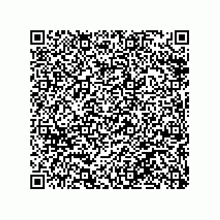 vCard 79063480020