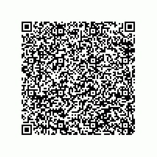 vCard 79063480028