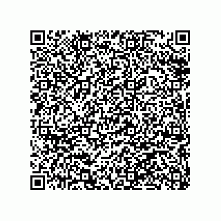 vCard 79063480029