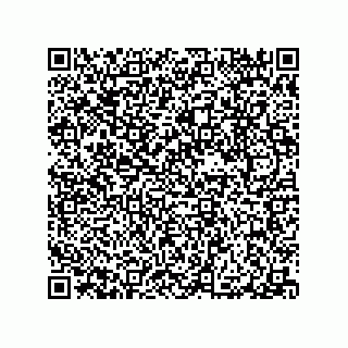 vCard 79063480031