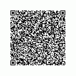 vCard 79063480032