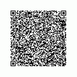 vCard 79063480033