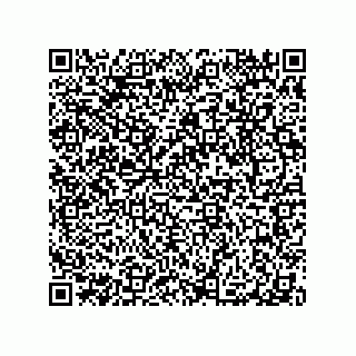 vCard 79063480038