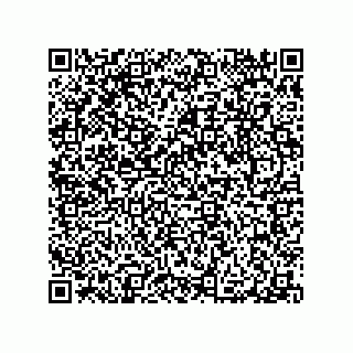 vCard 79063480039