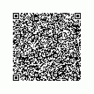 vCard 79063480062