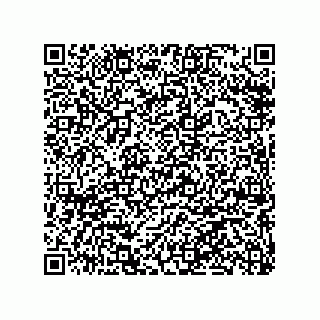 vCard 79063480069
