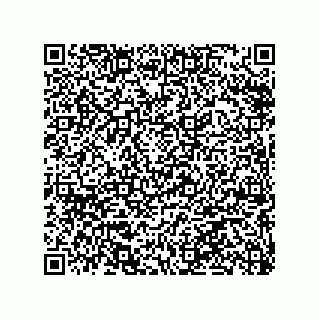 vCard 79063480078
