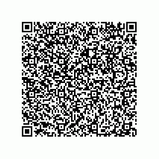 vCard 79063480080