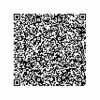 vCard 79063480081