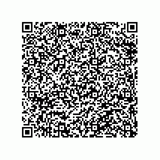 vCard 79063480082