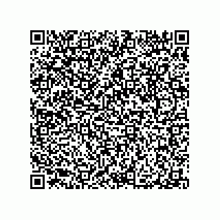 vCard 79063480089