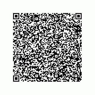 vCard 79063480098
