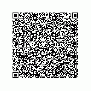 vCard 79063480099