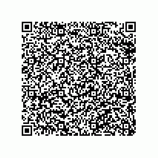 vCard 79063480105