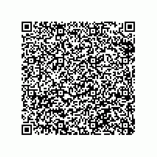 vCard 79063480110
