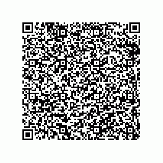 vCard 79063480115