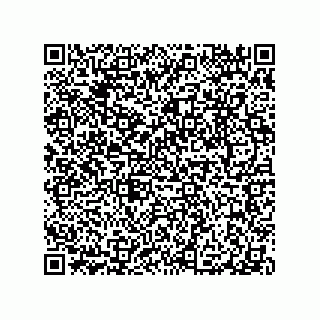 vCard 79063480117