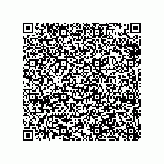 vCard 79063480118