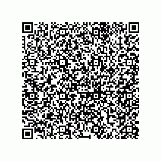 vCard 79063480131