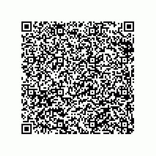 vCard 79063480133