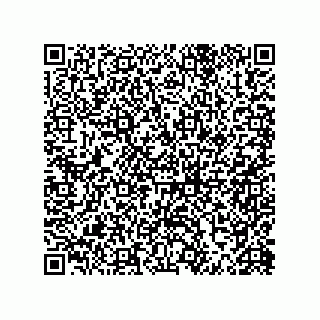 vCard 79063480138