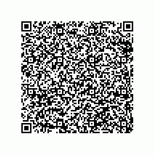 vCard 79063480139
