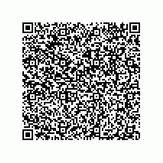 vCard 79063480140
