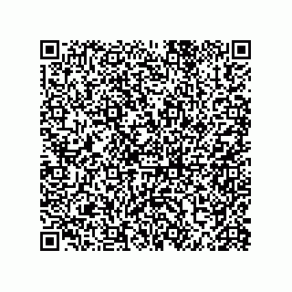 vCard 79063480141