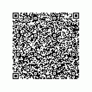 vCard 79063480143