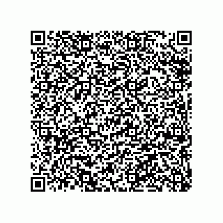 vCard 79063480145
