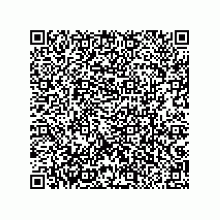 vCard 79063480151