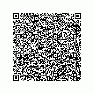 vCard 79063480153