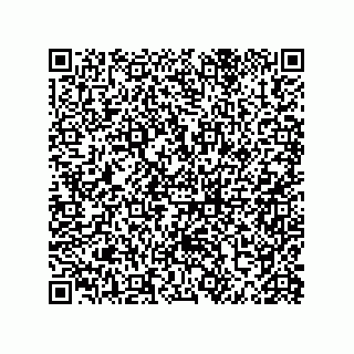 vCard 79063480161