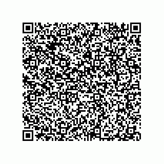 vCard 79063480163