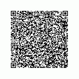 vCard 79063480171