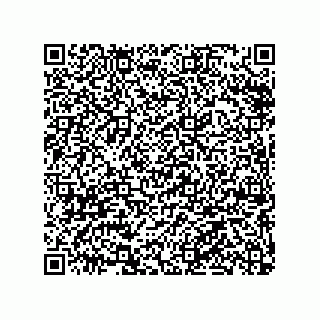 vCard 79063480173