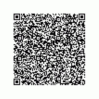 vCard 79063480174