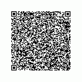 vCard 79063480175
