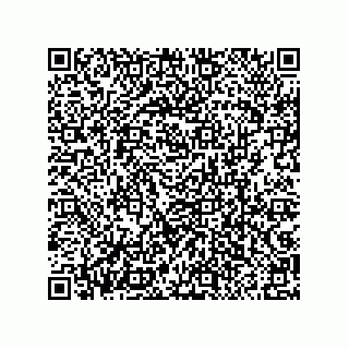 vCard 79063480177