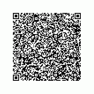 vCard 79063480181