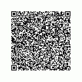 vCard 79063480193