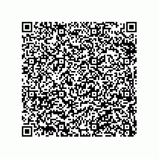 vCard 79063480196
