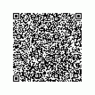 vCard 79063480197