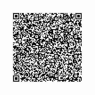 vCard 79063480198