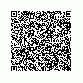 vCard 79063480200