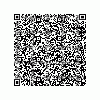 vCard 79063480203