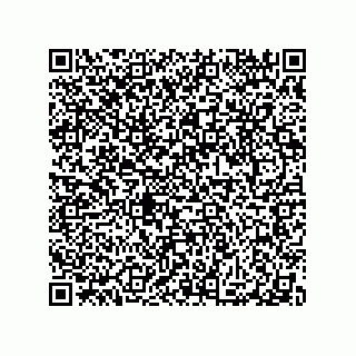 vCard 79063480204