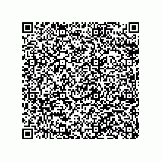 vCard 79063480205