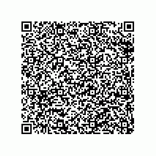 vCard 79063480207