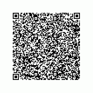 vCard 79063480208
